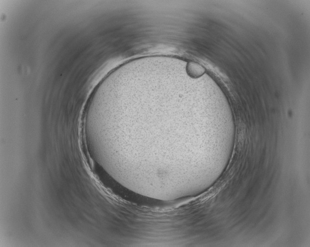 X0000081581423200702051228