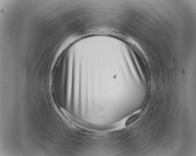 X0000081581424200702051228