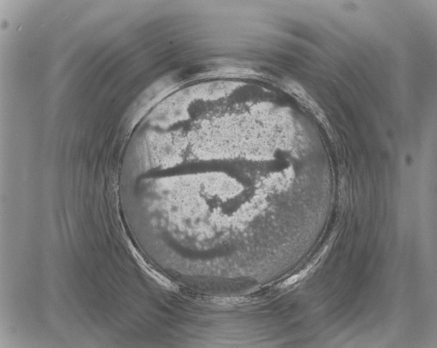 X0000081581425200702051228