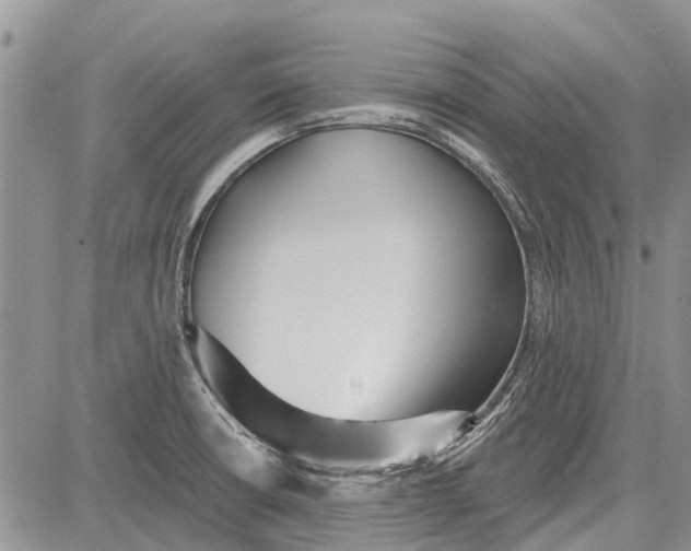 X0000081581426200702051228