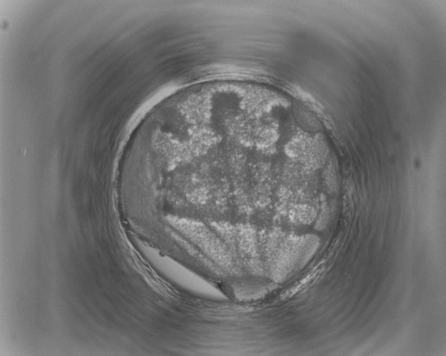 X0000081581427200702051228