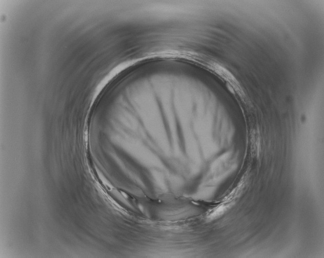 X0000081581428200702051228