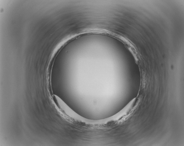 X0000081581430200702051228