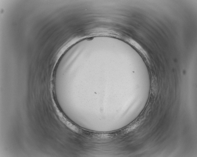 X0000081581431200702051228