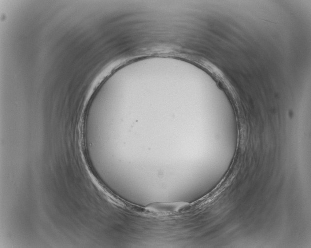 X0000081581432200702051228