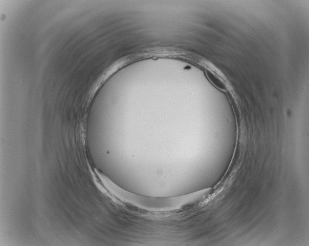 X0000081581433200702051228