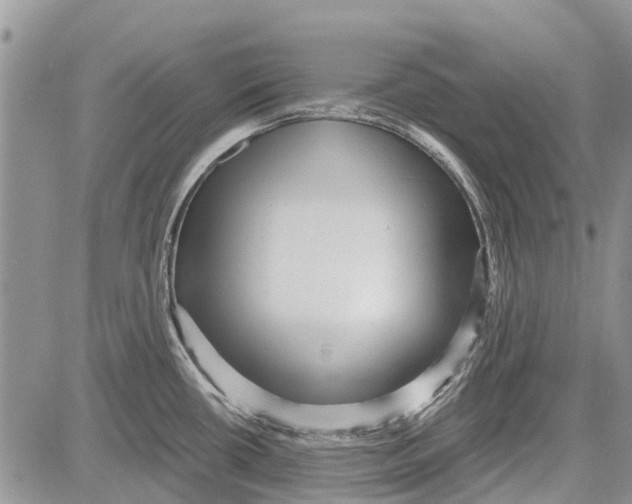 X0000081581434200702051228