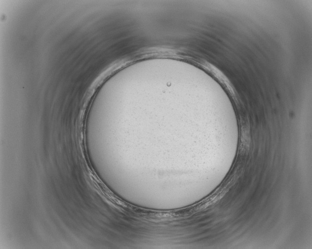 X0000081581435200702051228