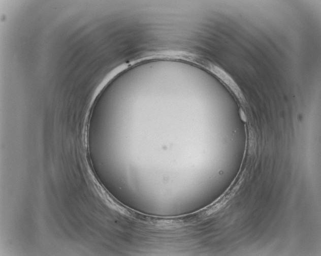 X0000081581436200702051228