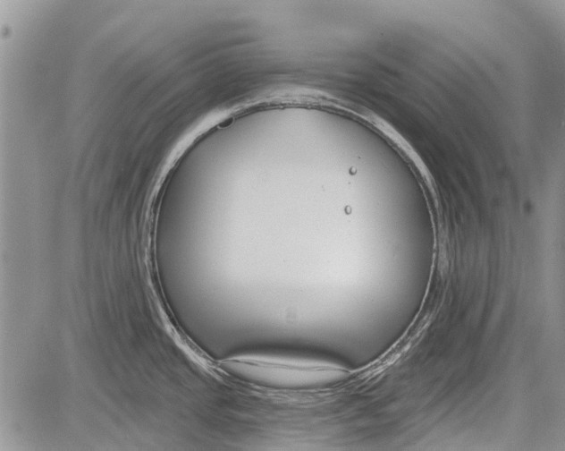 X0000081581437200702051228