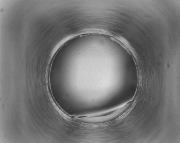 X0000081581438200702051228