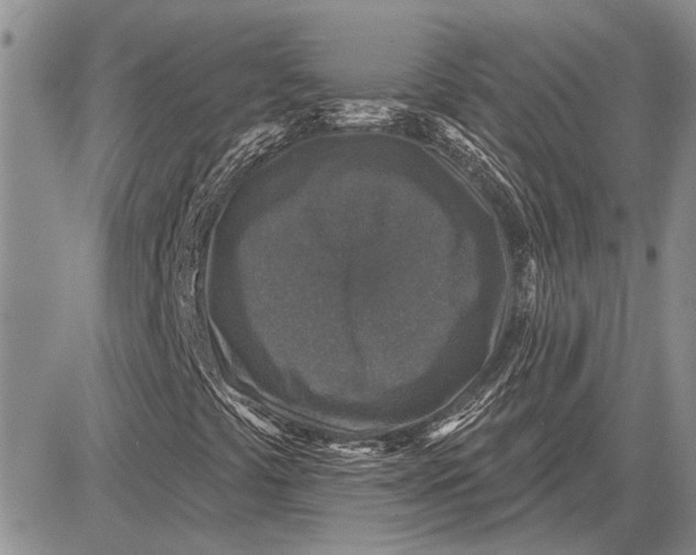 X0000081581441200702051227