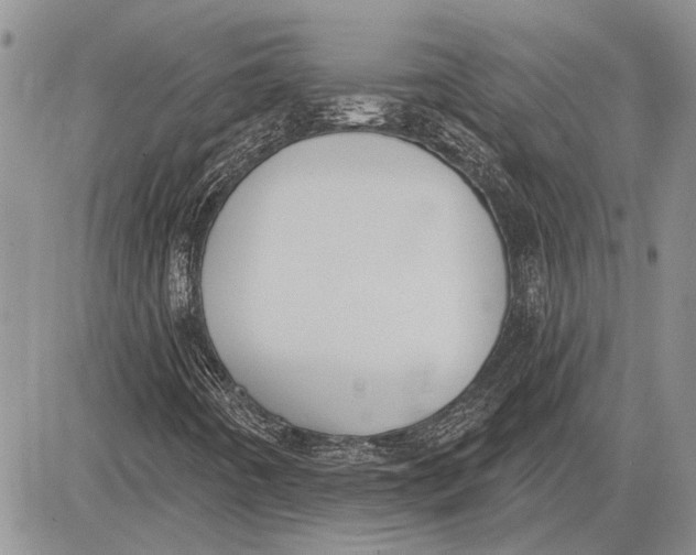 X0000081581442200702051227