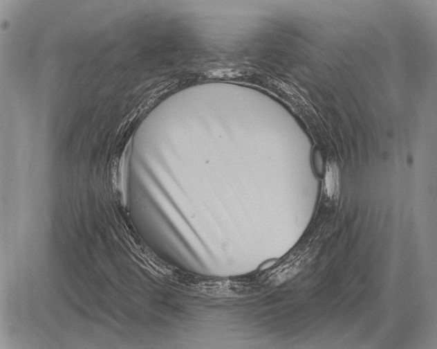 X0000081581444200702051227