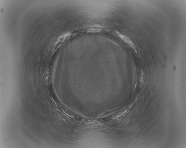 X0000081581445200702051227