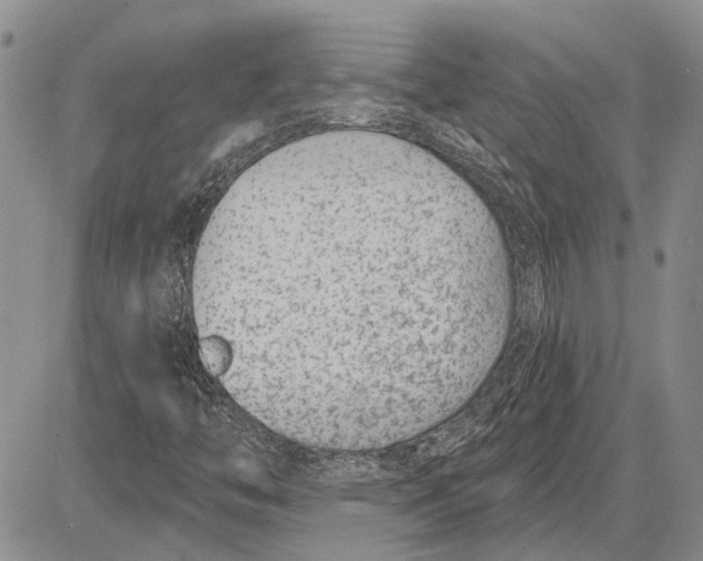 X0000081581446200702051227