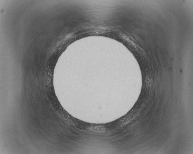 X0000081581447200702051227