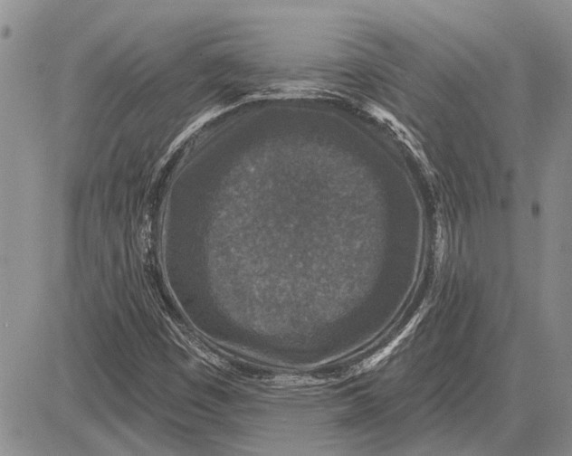 X0000081581449200702051227