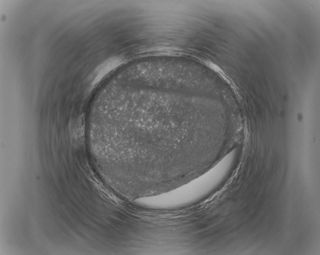 X0000081581450200702051227