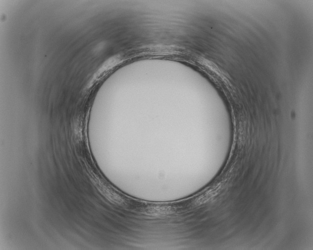 X0000081581451200702051227