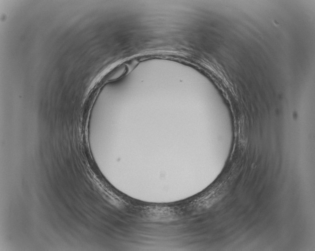 X0000081581452200702051227