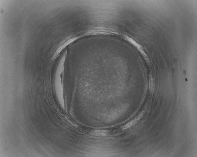 X0000081581453200702051227