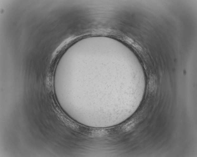 X0000081581454200702051227