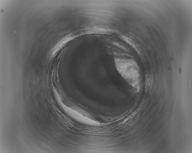 X0000081581455200702051227