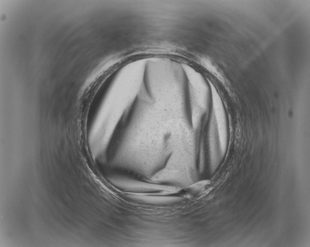 X0000081581456200702051227