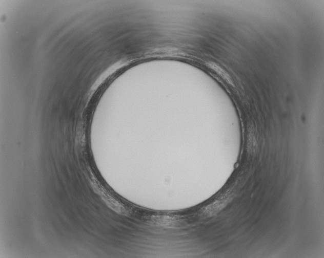 X0000081581458200702051227