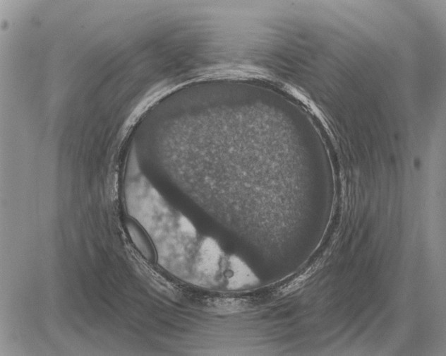 X0000081581459200702051227