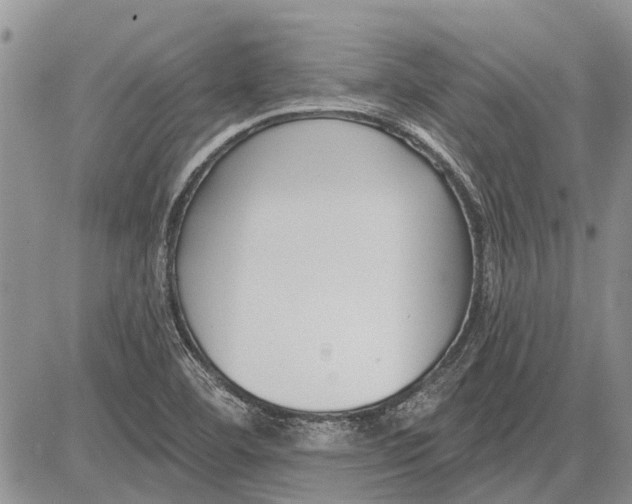 X0000081581460200702051227