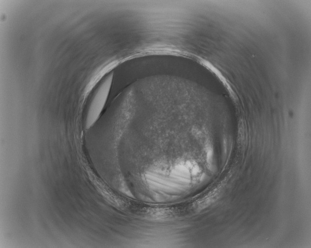 X0000081581461200702051227