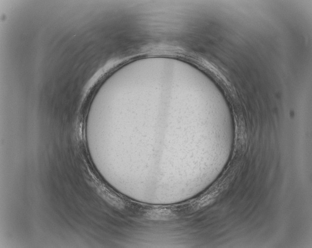 X0000081581462200702051227