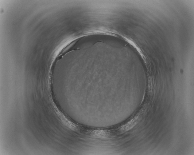 X0000081581463200702051227