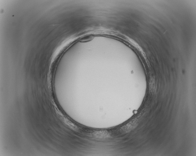 X0000081581464200702051227