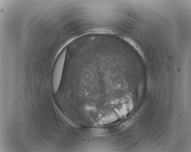 X0000081581465200702051227