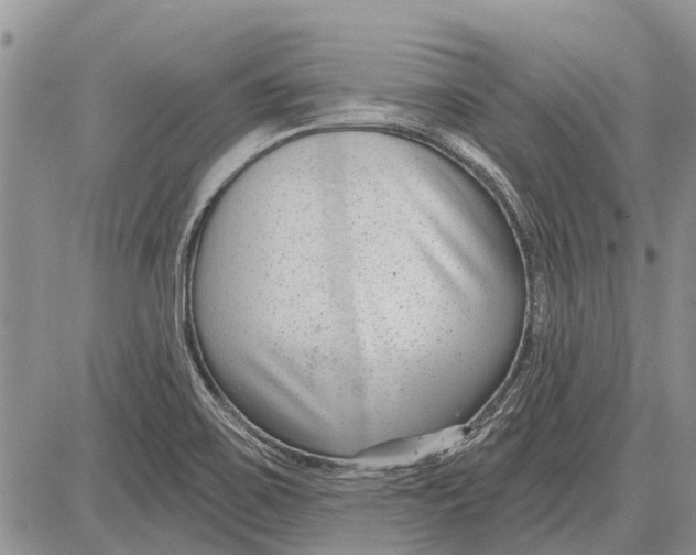 X0000081581467200702051227