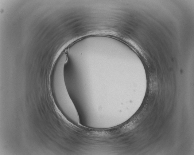 X0000081581468200702051227