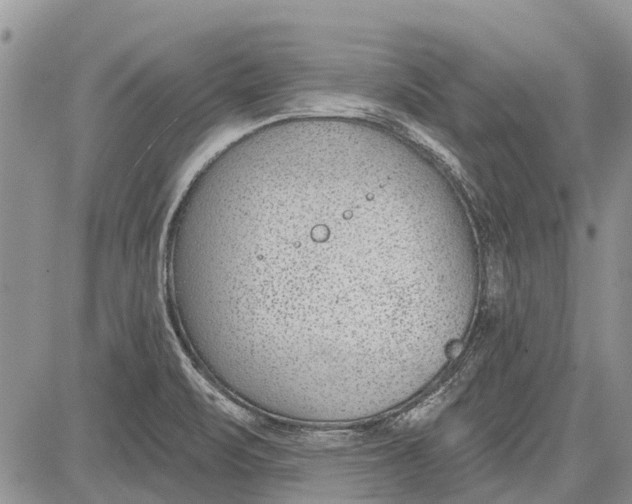 X0000081581471200702051227