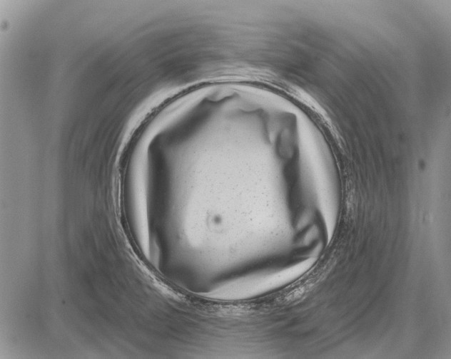 X0000081581472200702051227