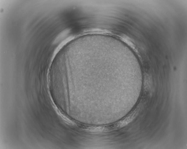 X0000081581474200702051227