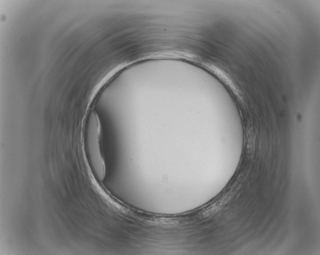 X0000081581476200702051227