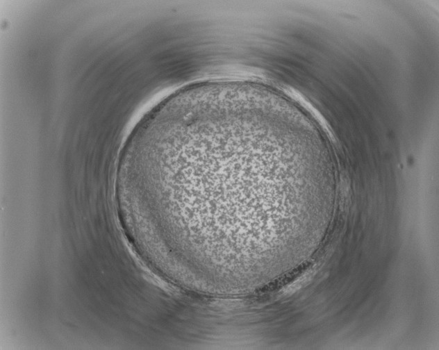 X0000081581477200702051227