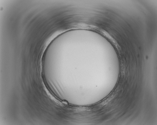 X0000081581479200702051227