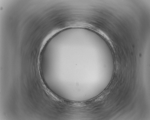 X0000081581480200702051227