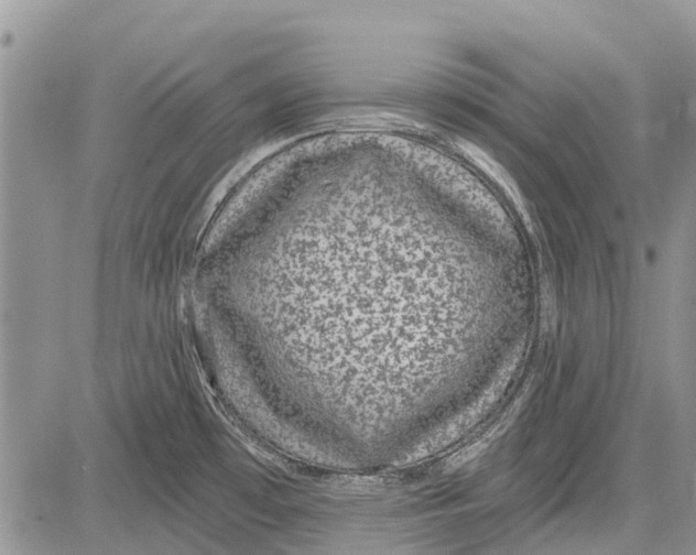 X0000081581481200702051227