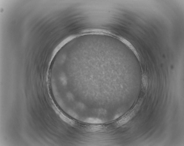 X0000081581482200702051227