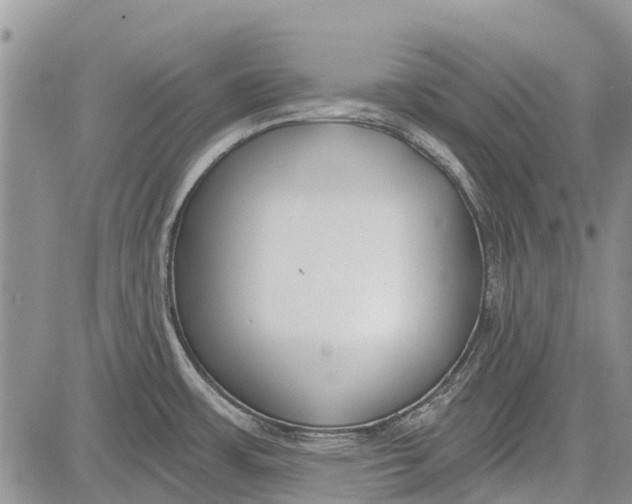 X0000081581483200702051227