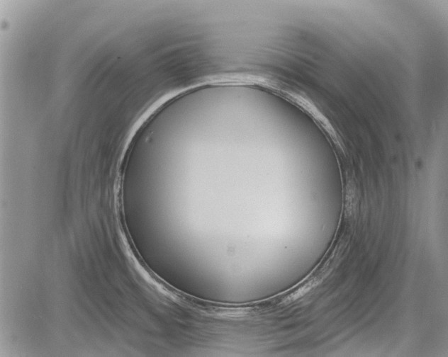 X0000081581484200702051227